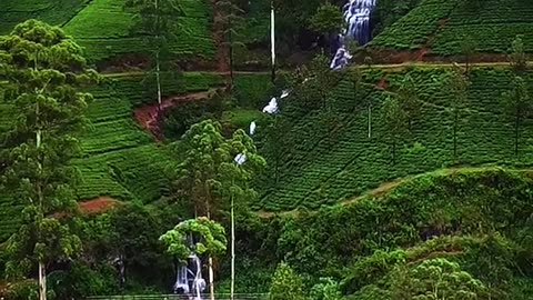 Nanu Oya Waterfall Paradise ❤🇱🇰