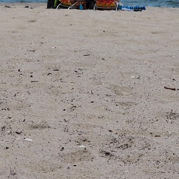 Sitting Quietly on the beach.