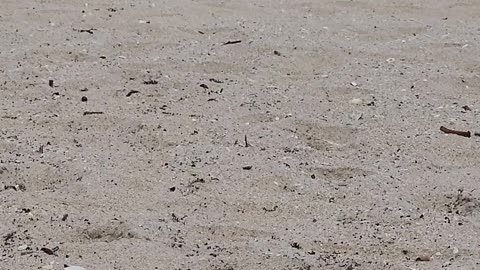 Sitting Quietly on the beach.