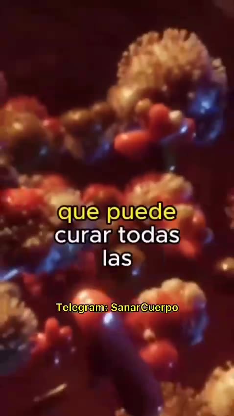 Musgos, neutralizando todas las enfermedades