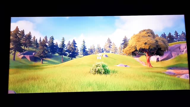 Fortnite, Playstation 4