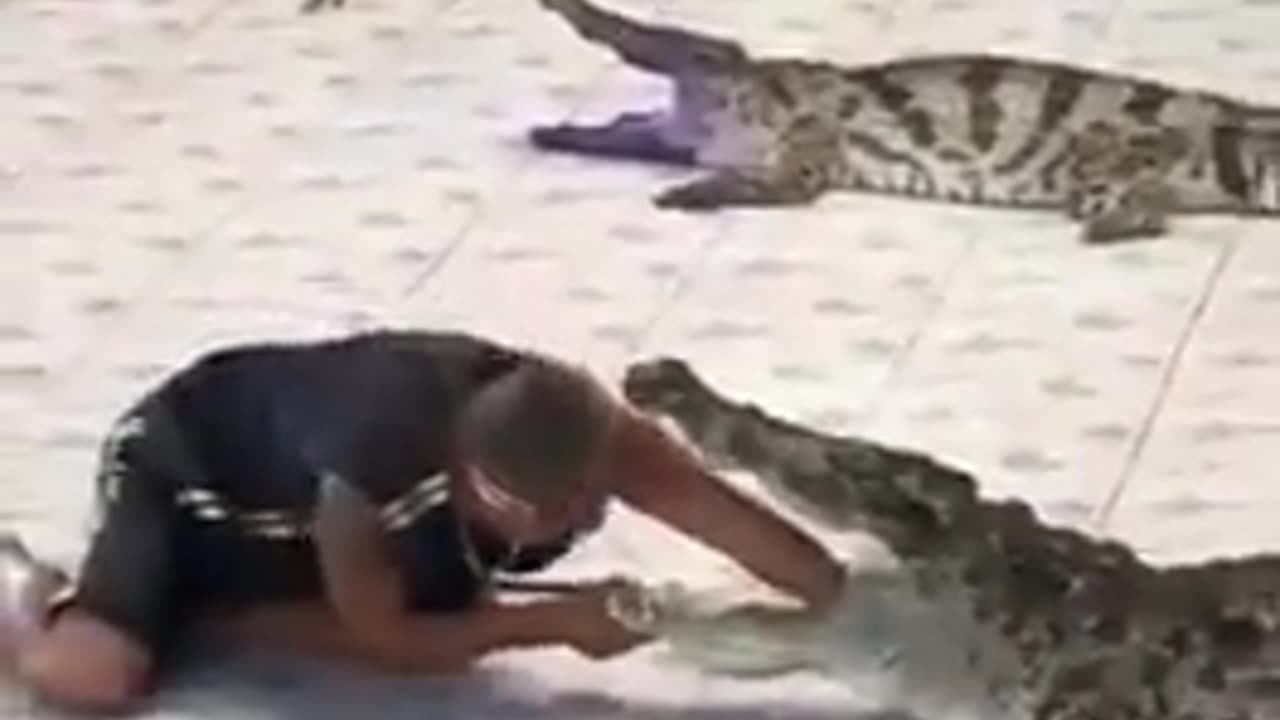 Crocodile attacks Man