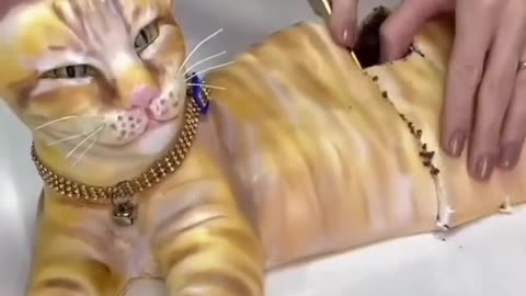 Funny cat videos | cute cats Try not to laugh | Cat videos