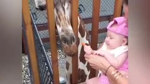 Funny Animal Pranks BabiesFunny Animals Prank Babies - Cutest Babies Videos…