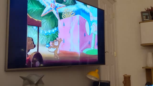 Cat watching Tom and Jerry so funny