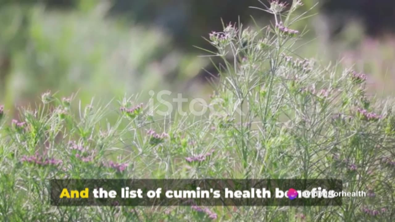 Cumin: The Spice of Life