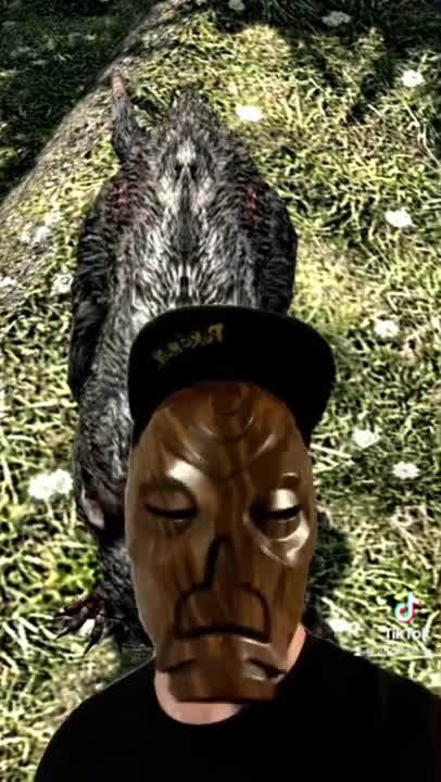 Skyrim Enemies: Skeever