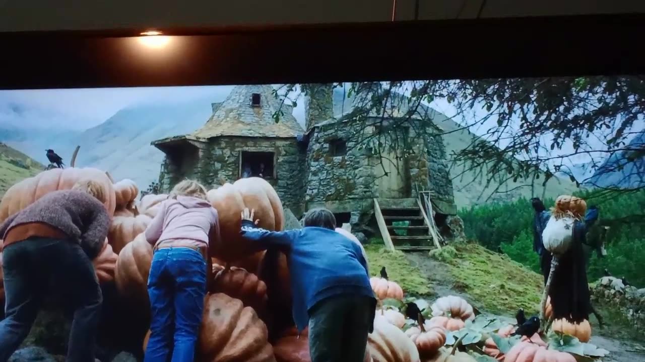 #potter, #omg, how tiny was , poor, #emma, _0