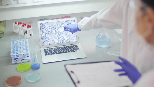Scientist Working In A Laboratory