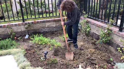 HOW TO COMPOST AT HOME