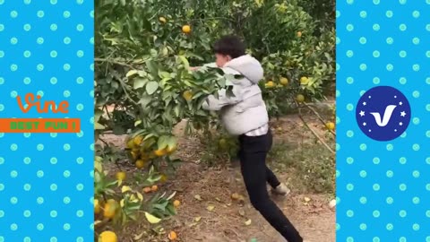 TRY NOT TO LAUGH CHALLENGE -- -- Comedy Videos - Compilation from SML Troll _ chistes
