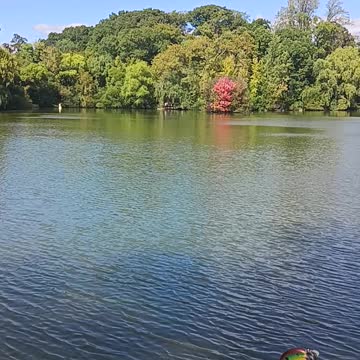 Kissena park