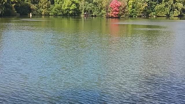 Kissena park