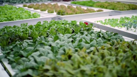 How This Robotic Farm Is Reimagining Agriculture(1)