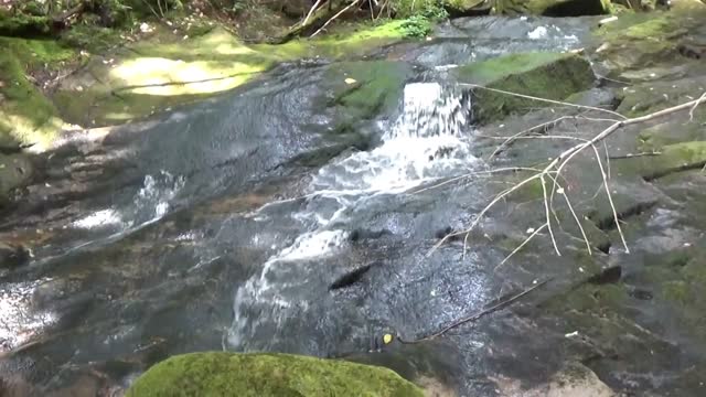 Cascade