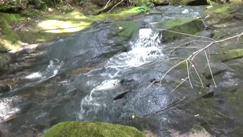 Cascade