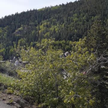 Chipmunk sounds overlooking the Gregory Diggings Central City Colorado
