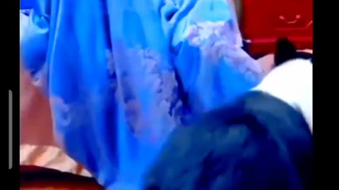 Funny animals 😀🤣