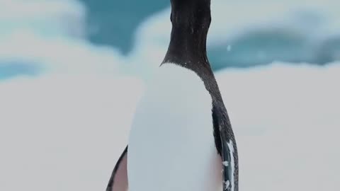When you live among hundreds of thousands of your kind