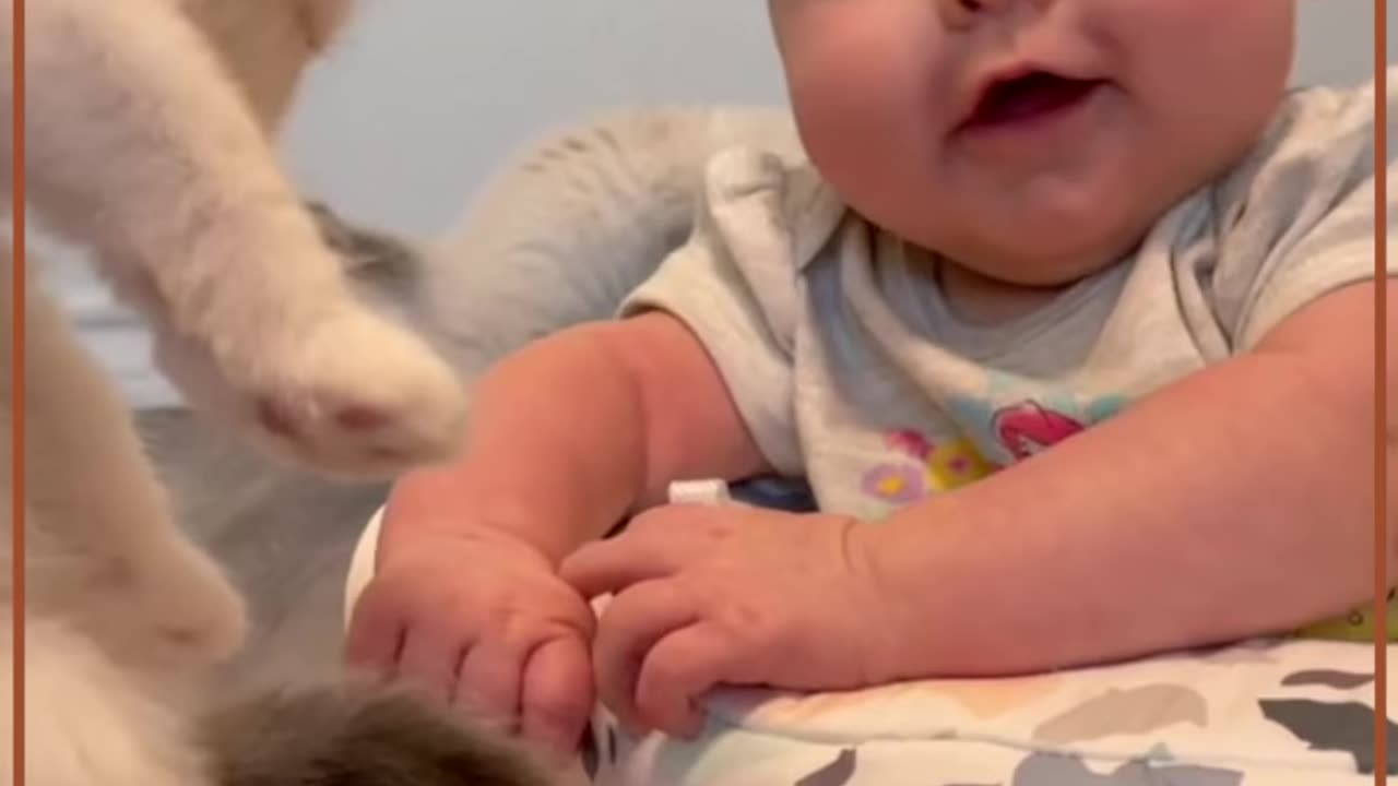 Cuteness Overload: Hilarious Cat Baby Moments"