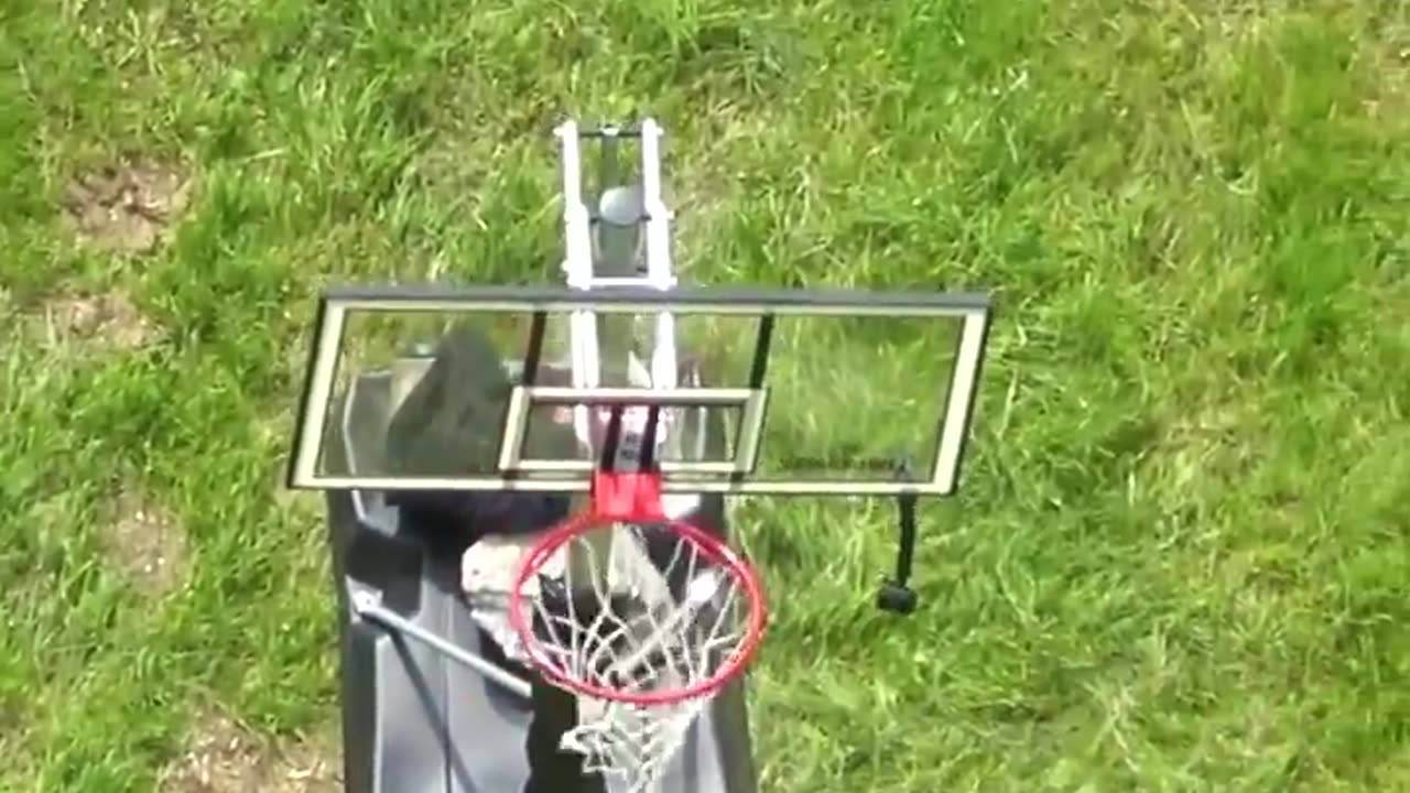 WORLD RECORD# Backwards Basketball Shot! #Shorts#