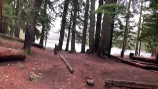 Oregon – Mount Hood National Forest – Approach to Lower Twin Lake – 4K