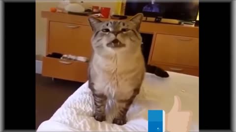 TOP Cute and Funny Animals Vines 2023 - Videos Compilation 🤣 Try not to laugh #20