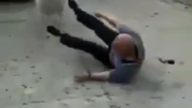 The sheep told you to bully me.