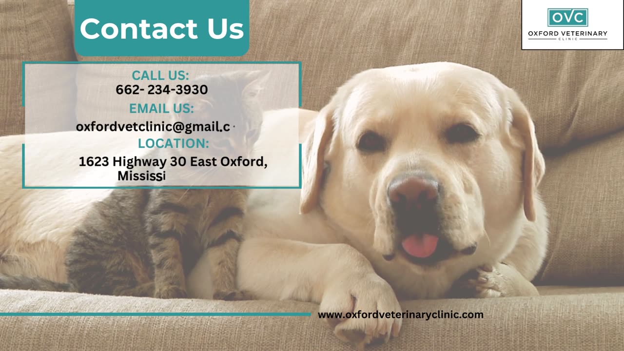 Oxford Veterinary Clinic