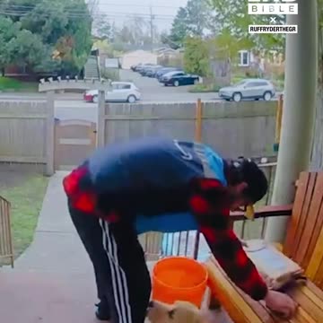 Delivery driver gives dog belly rubs