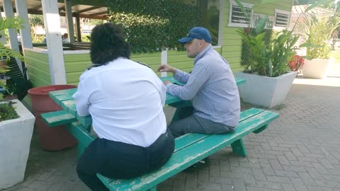 Sunlight in the shade