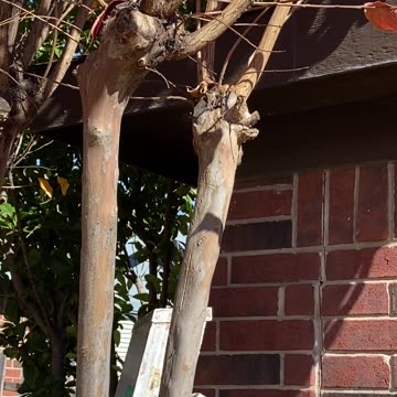 Hang Those Bad Boys!