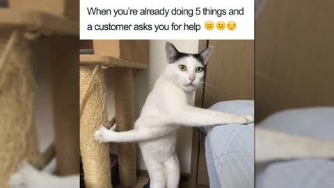 You Think Your Job Sucks_ Then Take A Look At These Hilarious Restaurant Memes