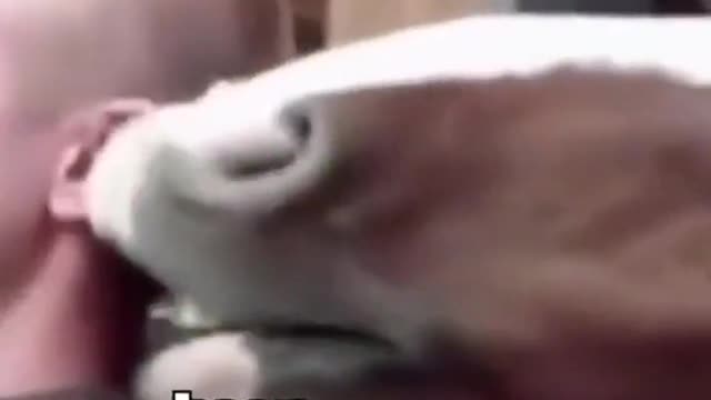 Just horsin’ around