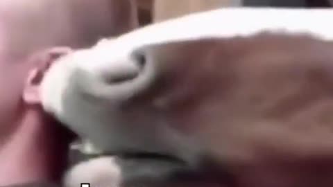 Just horsin’ around