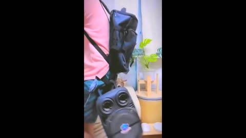 Funny animal videos _ funny cat and dogs videos _ funny videos 2023 _ funny videos for kids #1