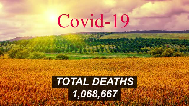 United States COVID-19 Cases, Deaths as of: November 2, 2022.