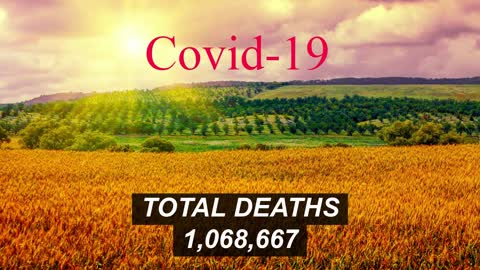 United States COVID-19 Cases, Deaths as of: November 2, 2022.