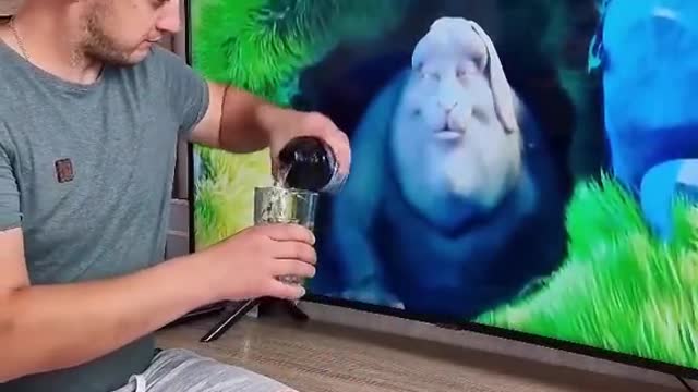Funny videos