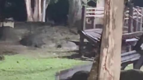 Ghost on camera paranormal activity part 93