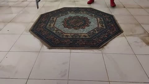 carpet cleaning ,satisfying rug cleaning