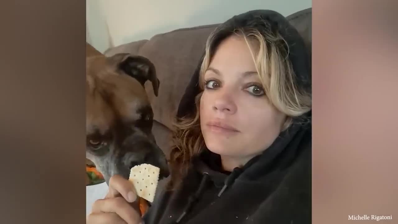 Most Funny And Cute Moments Dog In Love With Their Human ❤️