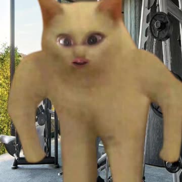 Gainz o'clock: Let's hit the gym! (Zyzz)