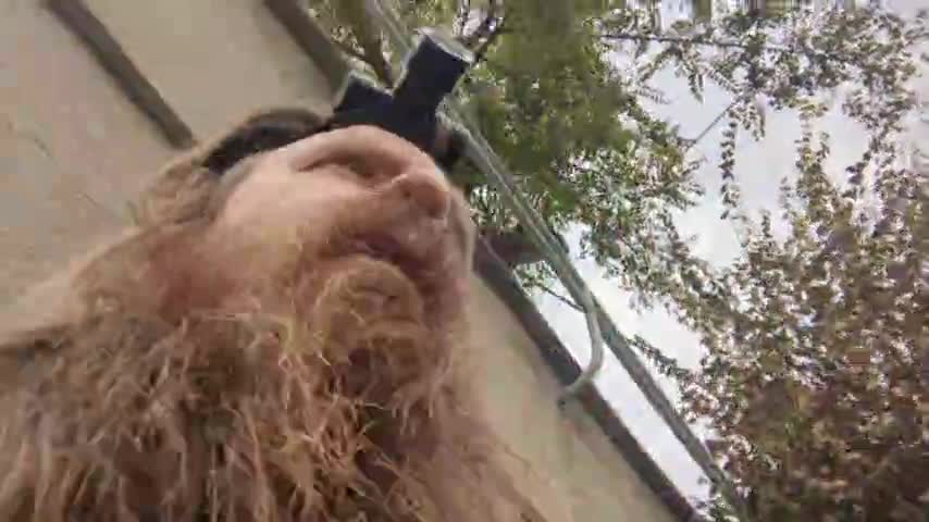 2022-11-21 (3) - GO déchargement - Twitch Decheterie