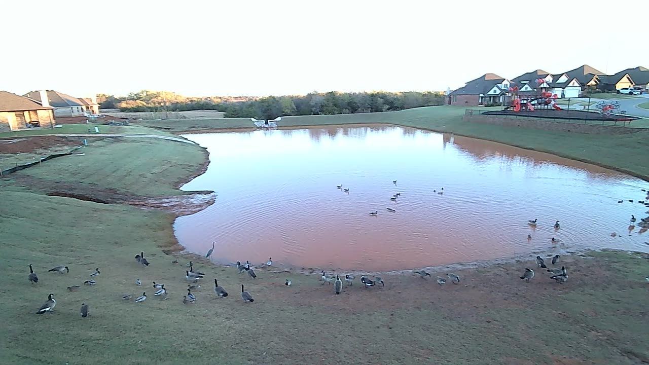 Beautiful morning at the pond