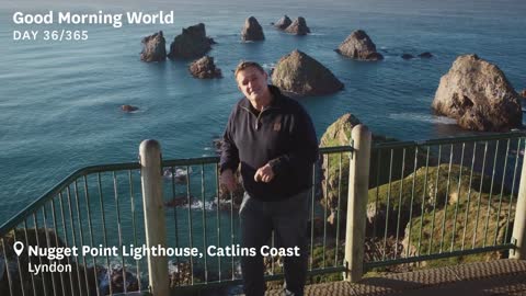 Good Morning World Day 36 of 365 - Lighthouse, Nugget Point