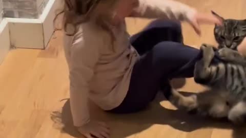 Cute girl playing with cat #shorts #viral #cutegirl #cuteanimals