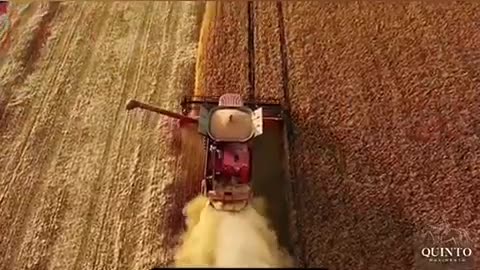 Agora vocês entendem porque tem tantas ONG's na Amazônia?