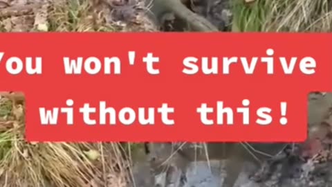 You Need This When SHTF! #lifestraw #waterpurifier #worldwar3 #ww3