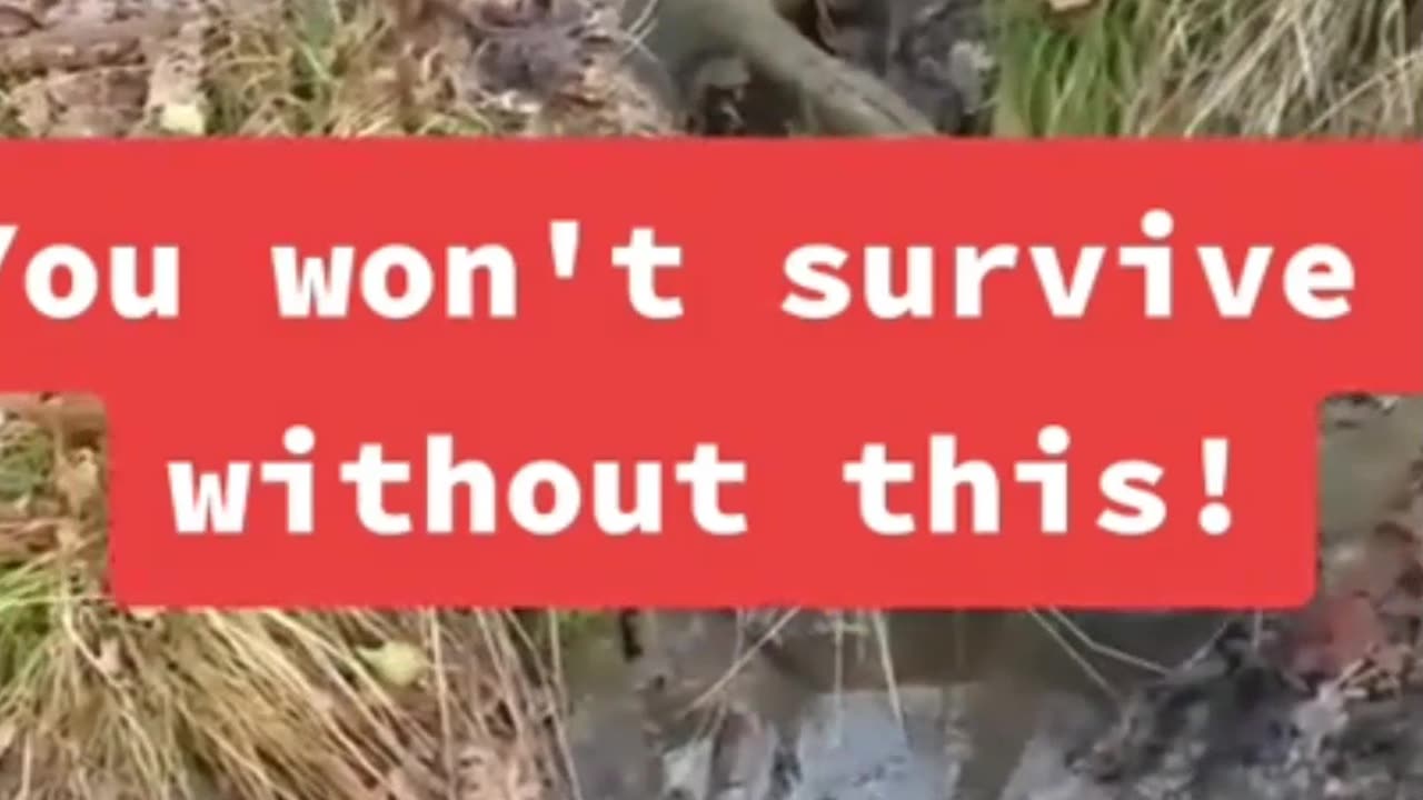 You Need This When SHTF! #lifestraw #waterpurifier #worldwar3 #ww3